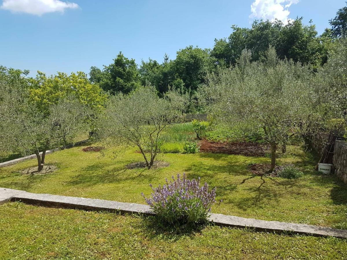 Apartmani Mariela Labin  Exteriér fotografie